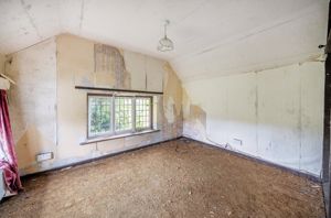 Photo 13- click for photo gallery